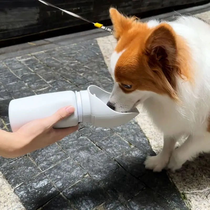 PawTasticLife™  Portable Travel Water Bottle 550ml
